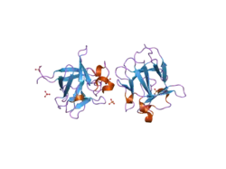 2j3p: CRYSTAL STRUCTURE OF RAT FGF1 AT 1.4 A
