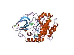 2jds: STRUCTURE OF CAMP-DEPENDENT PROTEIN KINASE COMPLEXED WITH A-443654