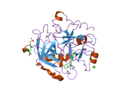 2jh6: HUMAN THROMBIN HIRUGEN INHIBITOR COMPLEX.