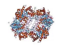 2nsx: Structure of acid-beta-glucosidase with pharmacological chaperone provides insight into Gaucher disease