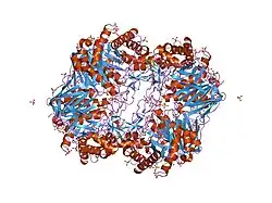 2nt1: Structure of acid-beta-glucosidase at neutral pH