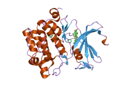 2o3p: Crystal structure of Pim1 with Quercetin