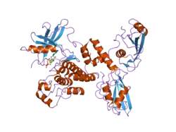 2ozo: Autoinhibited intact human ZAP-70
