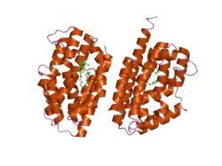2q32: Crystal structure of human heme oxygenase-2 C127A (HO-2)
