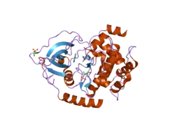 2uvx: STRUCTURE OF PKA-PKB CHIMERA COMPLEXED WITH 7-AZAINDOLE