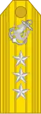 Vice Admiral
