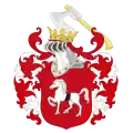 Arms of the Starykoń clan.
