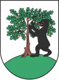 Coat of arms of Pełczyce