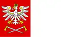 Flag of Czarny Dunajec