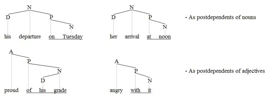 PPs on nouns and adjectives