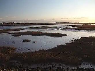 Pagham Harbour