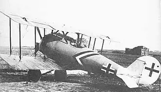 Paul Baumer's Pfalz D.VIII