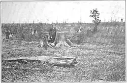 Black and white image of a man standing in a wasteland of massive tree stumps that stretch to the horizon. A few small tree trunks are standing.