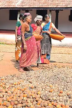 Pilikula Heritage Village - 2