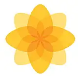 "Plaid Cymru Logo"