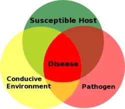 Plant disease triangle illustration