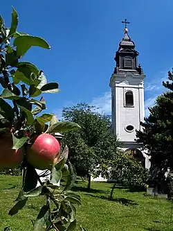 Church in Inđija