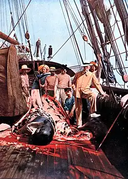 A group of men on the deck of a ship surround the remains of a whale, with much blood and blubber in evidence. The figure on the right, the prince, is wearing a tailored jacket and smart hat. The others are in seamen's jerseys.