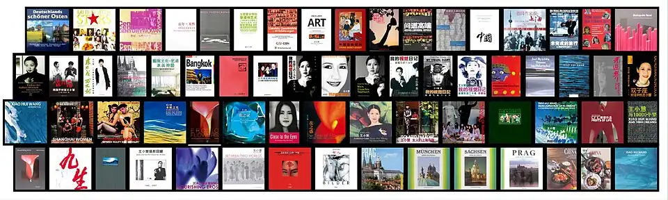 Books published or written by Wang