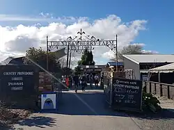 Punnet Strawberry Farm at Tamahere