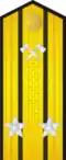 Shoulder board of Red Army engineers (1943-1946)/Soviet Army (1946-55)