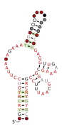 RAGATH-21 Secondary structure taken from the Rfam database. Family RF03097