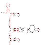 RAGATH-36 Secondary structure taken from the Rfam database. Family RF03104