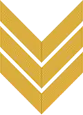 Chevron/ sleeve insignia