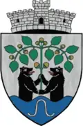Coat of arms of Măieruș