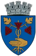 Coat of arms of Mediaș