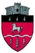 Coat of arms of Brodina