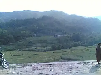 Paddy field in Ramkot below a hill