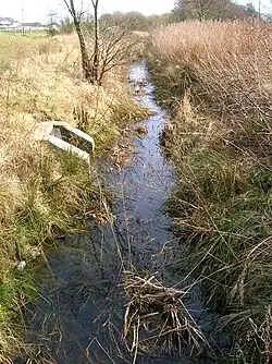 The Red burn in 2009 near the site of the Drukken Steps