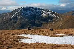 Red Screes seen from Cauldale Moor. Notice the unnamed cove below the summit.