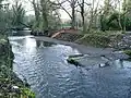 Remains of a weir on the River Brent Looking westward from the right hand bank.