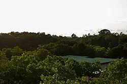 View from the watertower