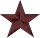 Bronze star