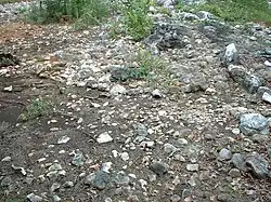 the 'head' of the effigy