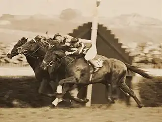 Rogilla, 1934 Kings Cup Peter Pan 2nd, Kuvera 3rd