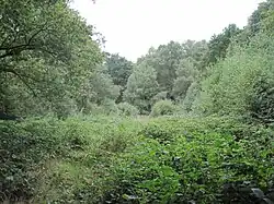 Rowley Green Common, Arkley