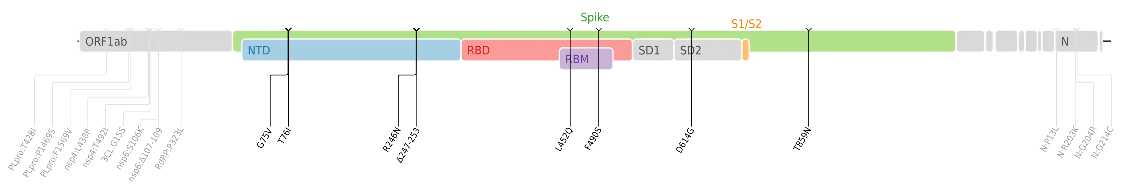 Amino acid mutations of SARS-CoV-2 Lambda variant plotted on a genome map of SARS-CoV-2 with a focus on the spike.[13]