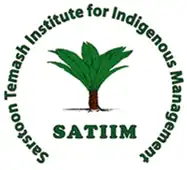 SATIIM logo