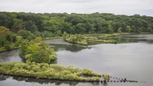 A bay containing several shipwrecks looking like small plant-covered islands