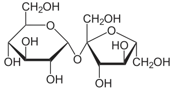 Sucrose is made up of a glucose monomer (left), and a fructose monomer (right).