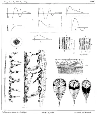 historic graphs and anatomical drawings