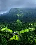 Sahyadri: One of the most biodiverse regions in the world.[54]