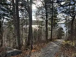 Through the branches, steep forest shore