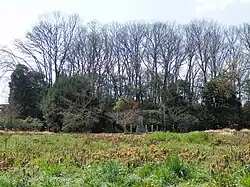 Sakurai Chausuyama Kofun