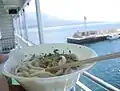 Udon of Yabukin and Mt. Sakurajima