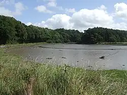 Saleen Creek opens to Cork Harbour and is southwest of Saleen village